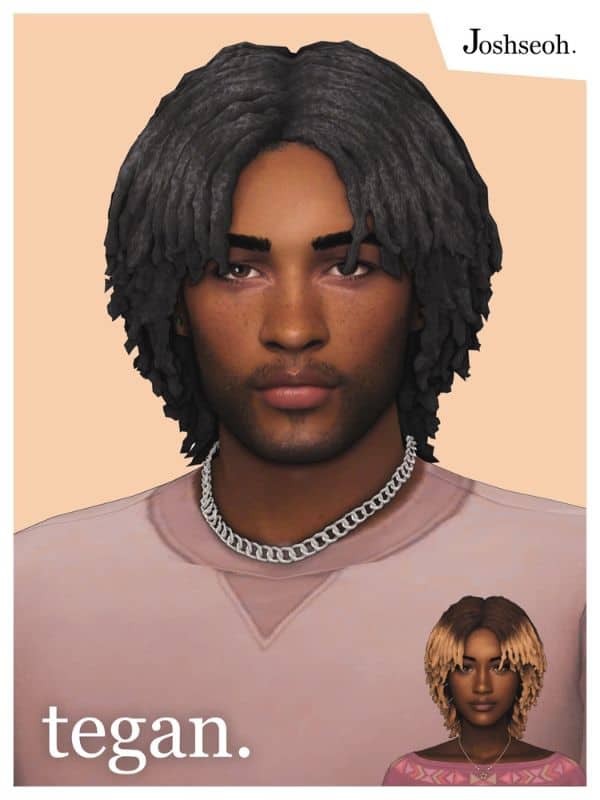 2 Tegan Hair (All Frames)