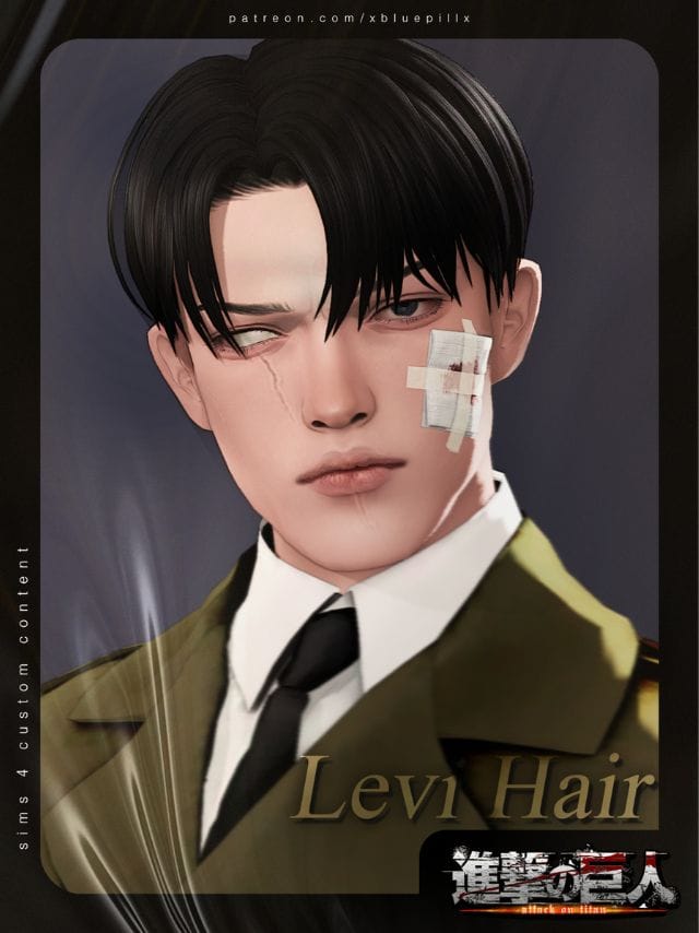 3 Levi Hair