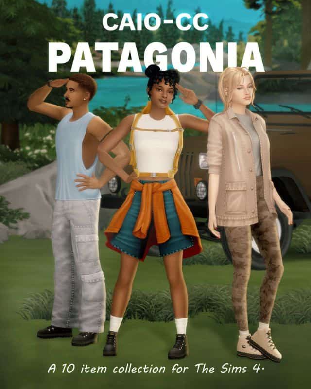 3 Patagonia Collection
