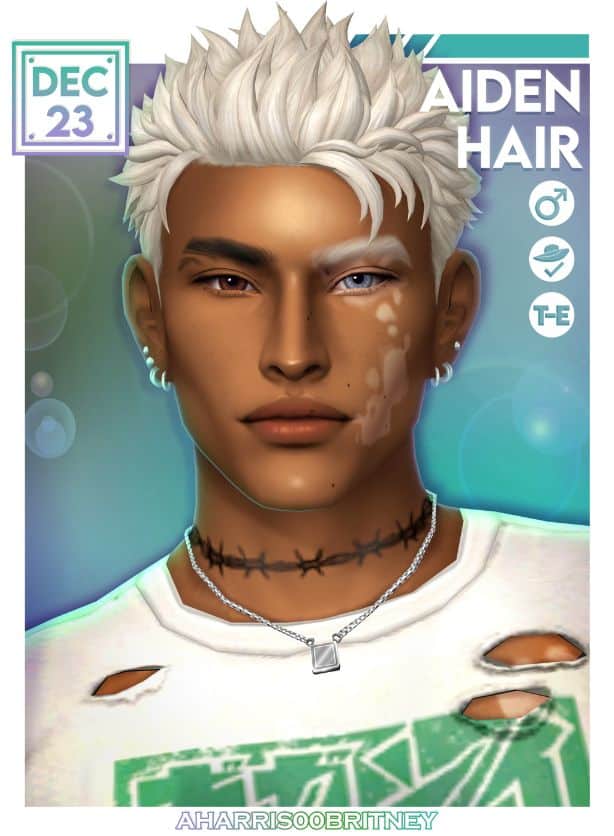 94 Aiden Hair