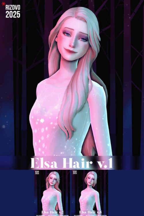 Elsa Hair Set