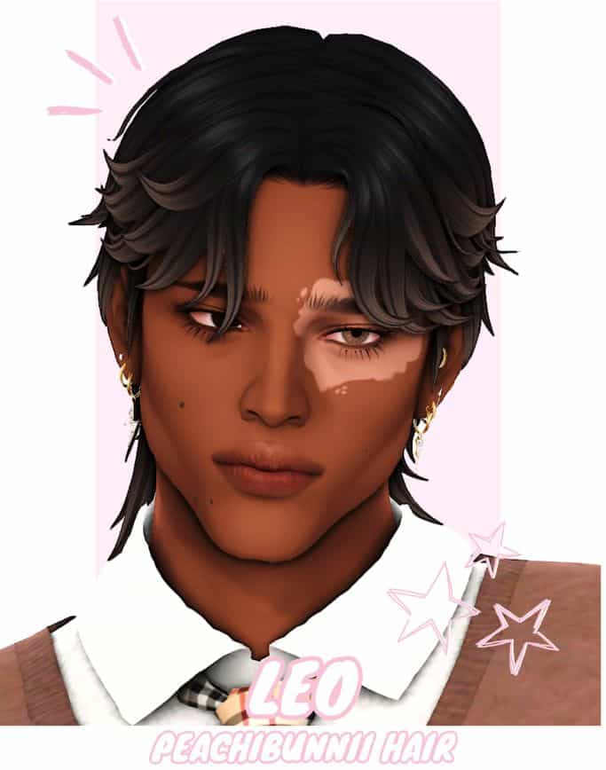 Leo Hairstyle
