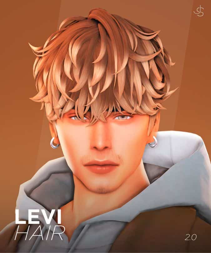 Levi Hair