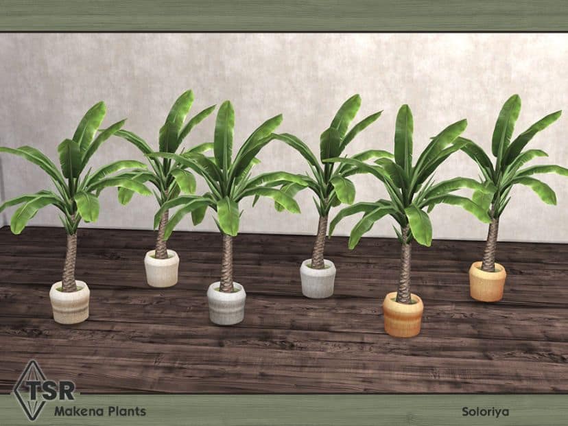 Makena Sims 4 Palm Plants