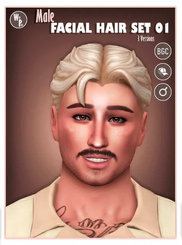 Male Facial Hair Set 01