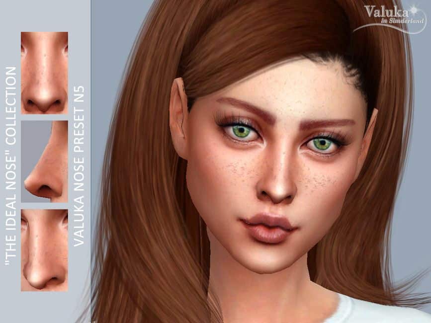 N5 Pointed Nose Preset