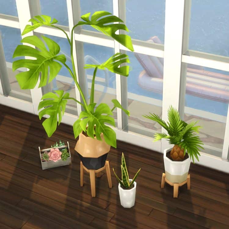 Planter’s Amalgam of Betrayal