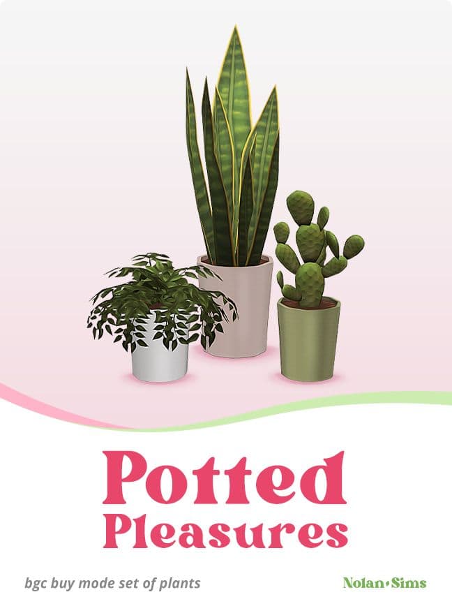 Potted Pleasures Plant Set