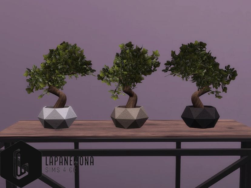 Sims 4 Modern Bonsai Plants