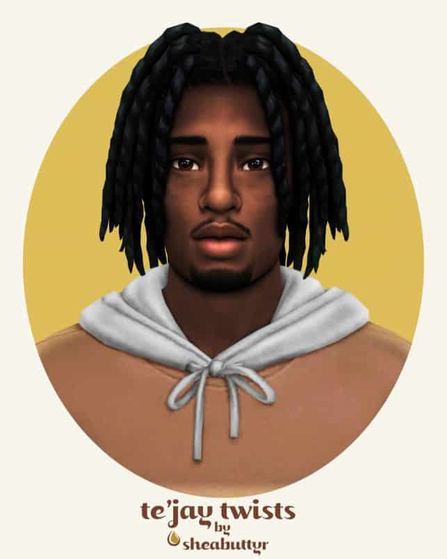 Sims 4 Te’jay Twists Male Hair