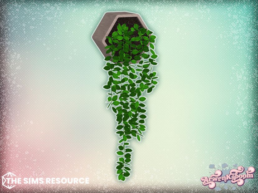 Snugnook Plant CC