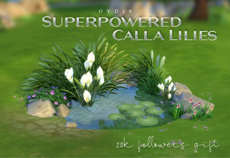 Superpowered Calla Lilies