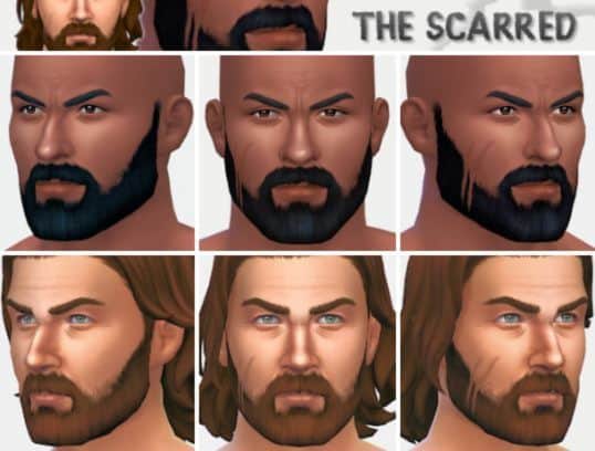 The Scarred Beard