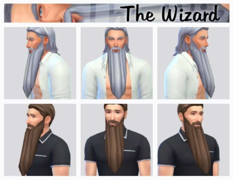 The Wizard Long Beard CC