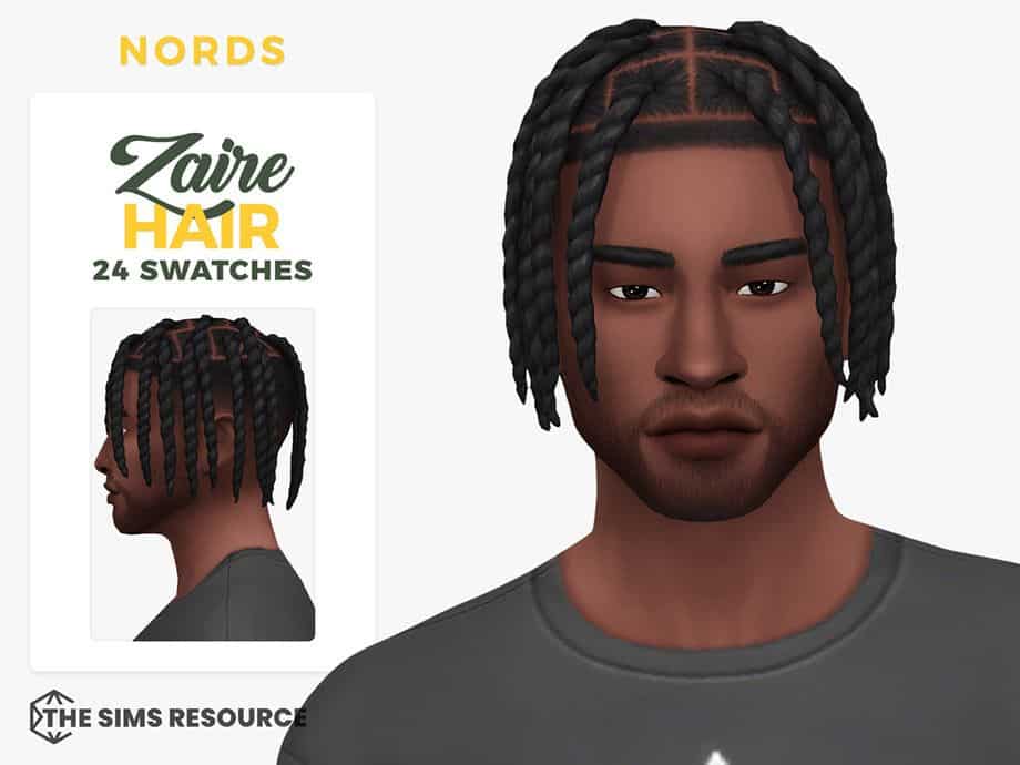 Two Strand Twists Hairstyle