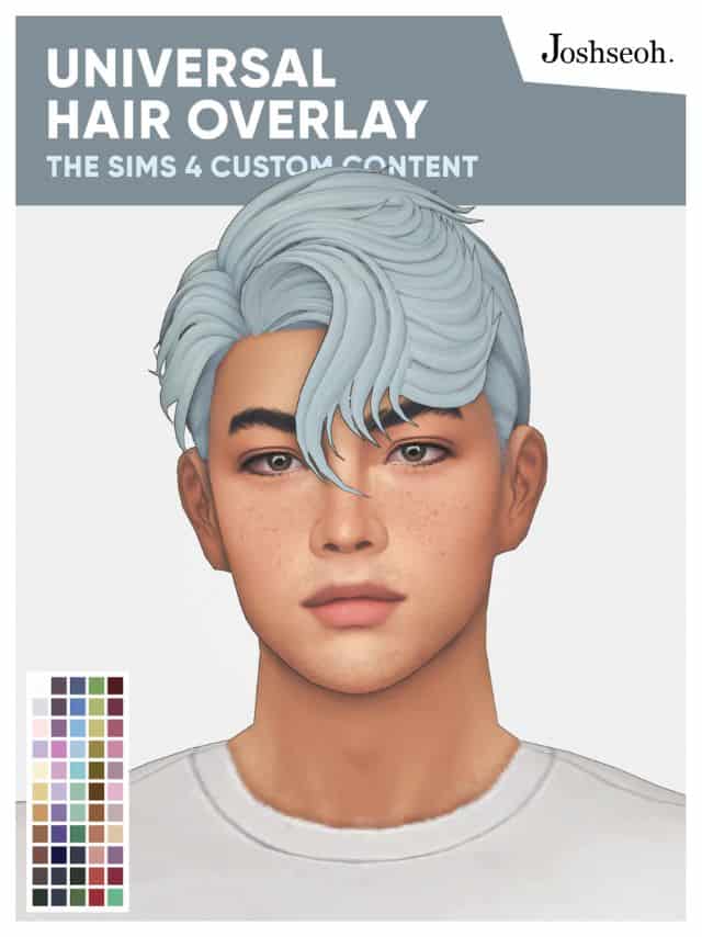 Universal Hair Overlay