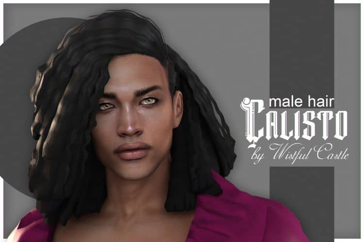 Wavy Long Hair CC for Men