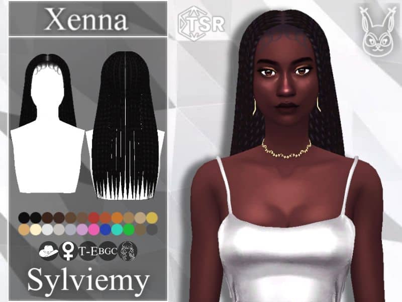 Xenna Long Braids Hairstyle